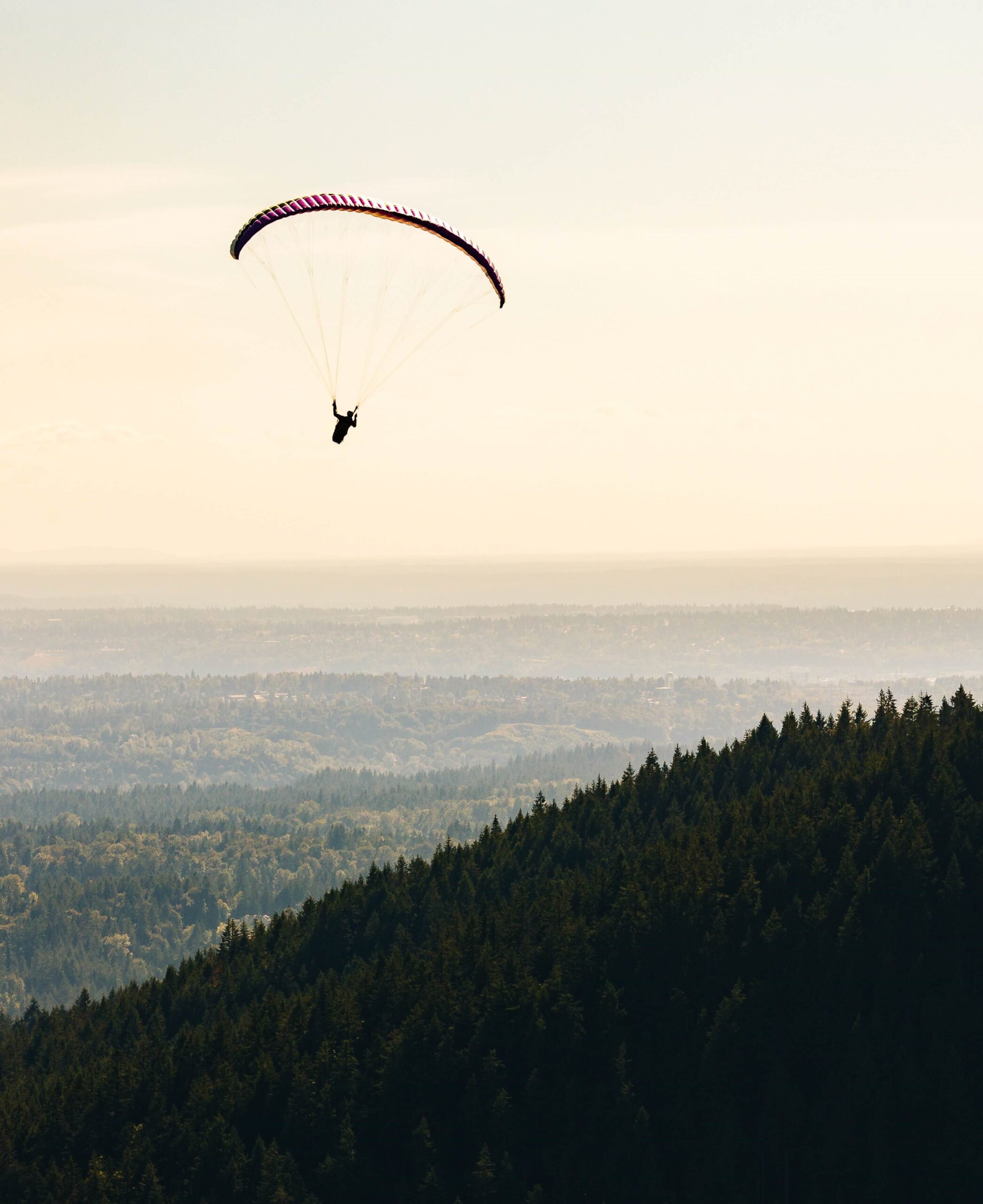 Paraglider soars over Issaquah hiking trail at sunset
